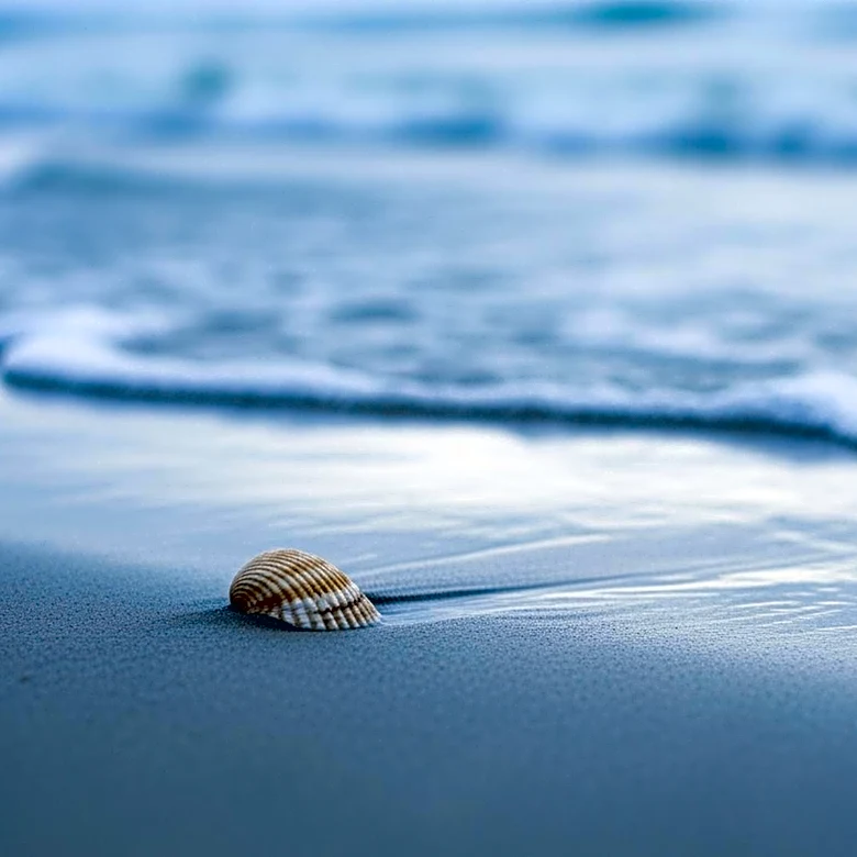 Bacteria Warning Issued for Los Angeles County Beaches Following Rainfall