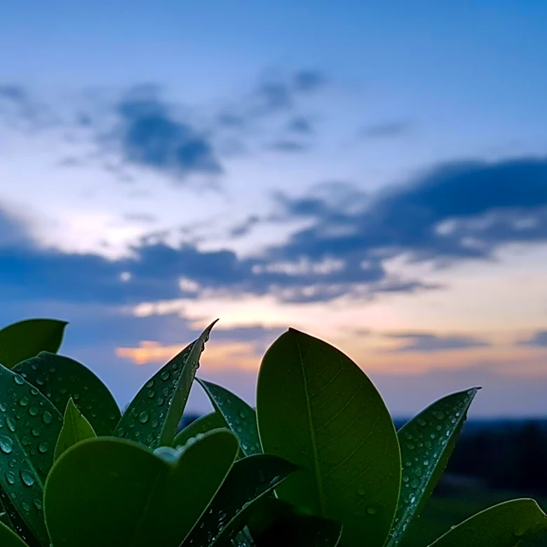 Partly Cloudy Skies in Joplin, MO with Possible Overnight Showers