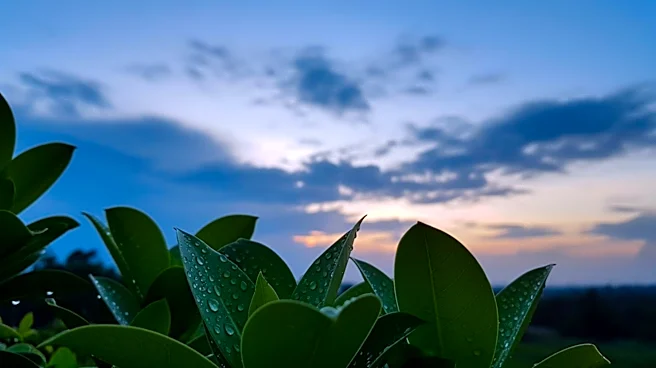 Partly Cloudy Skies in Joplin, MO with Possible Overnight Showers