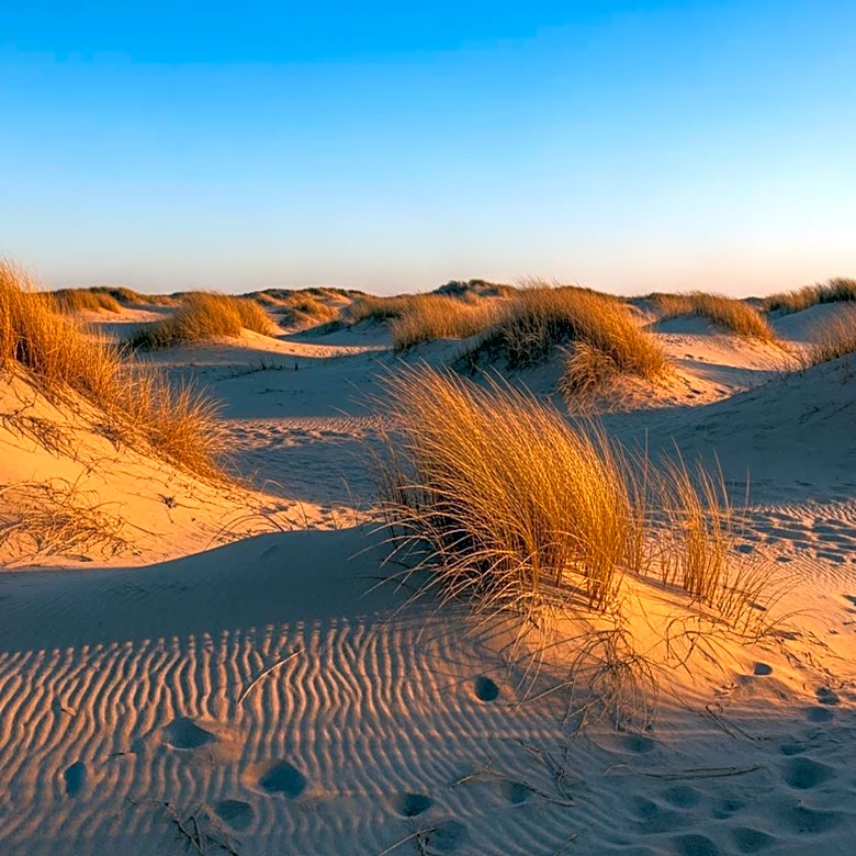 Warm and Dry Conditions Persist in South Florida