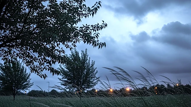 Windy Evening with Possible Showers in Joplin, MO