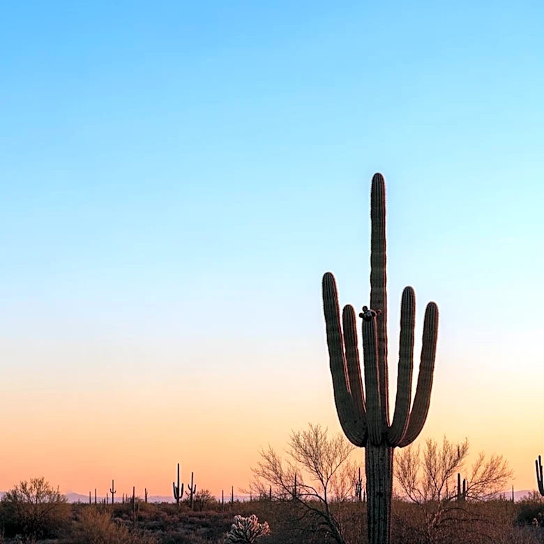 Tucson Weather Forecast: Clear Skies and Mild Temperatures