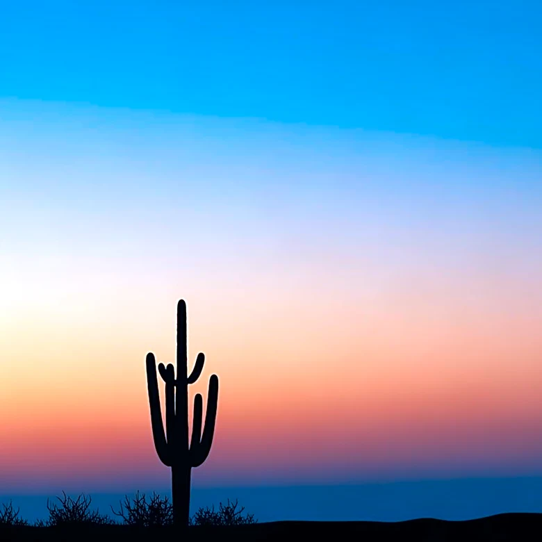Phoenix Weather Update: Clear Skies and Mild Temperatures Expected