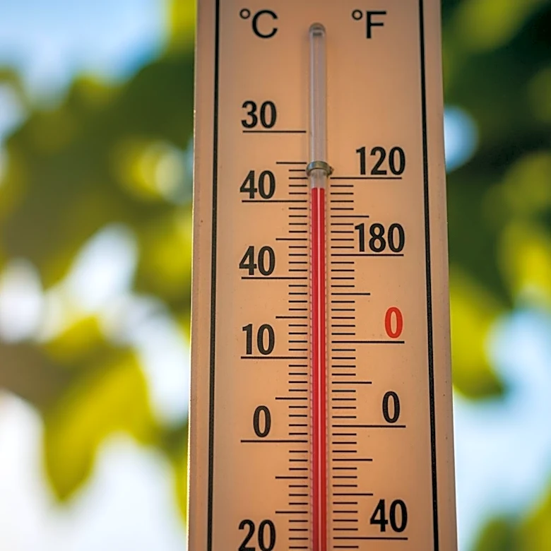 Warm Weather Expected in New York: Highs in the 80s