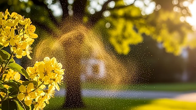 Intense Allergy Season Hits Charlotte, North Carolina