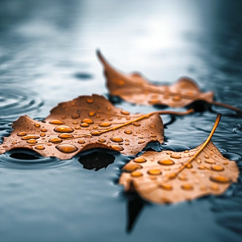 Buffalo Faces Heavy Rain and Flooding Risk