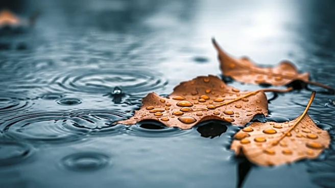 Buffalo Faces Heavy Rain and Flooding Risk