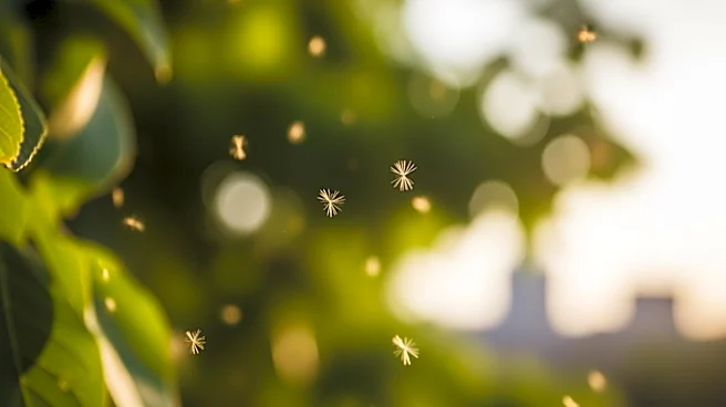 Tree Pollen Alert Issued for New York City Amid Rising Levels