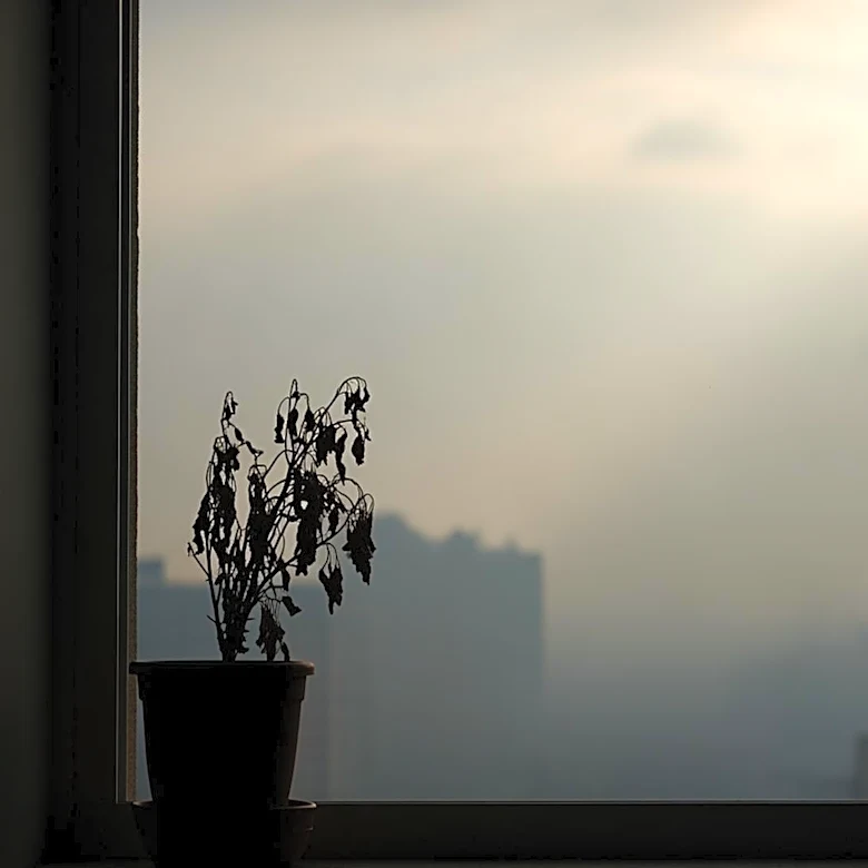 California Residents Advised to Stay Indoors Due to Harmful Air Quality