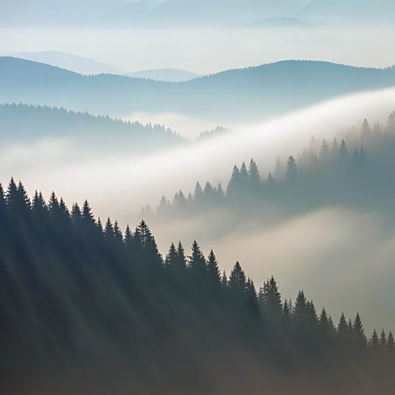 Pittsburgh Weather: Foggy Conditions Expected in the Appalachian Region