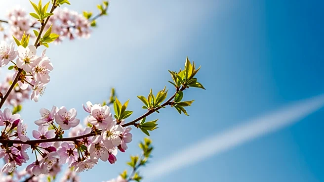 Spring Weather Update for Pittsburgh: Clear Skies and Mild Temperatures