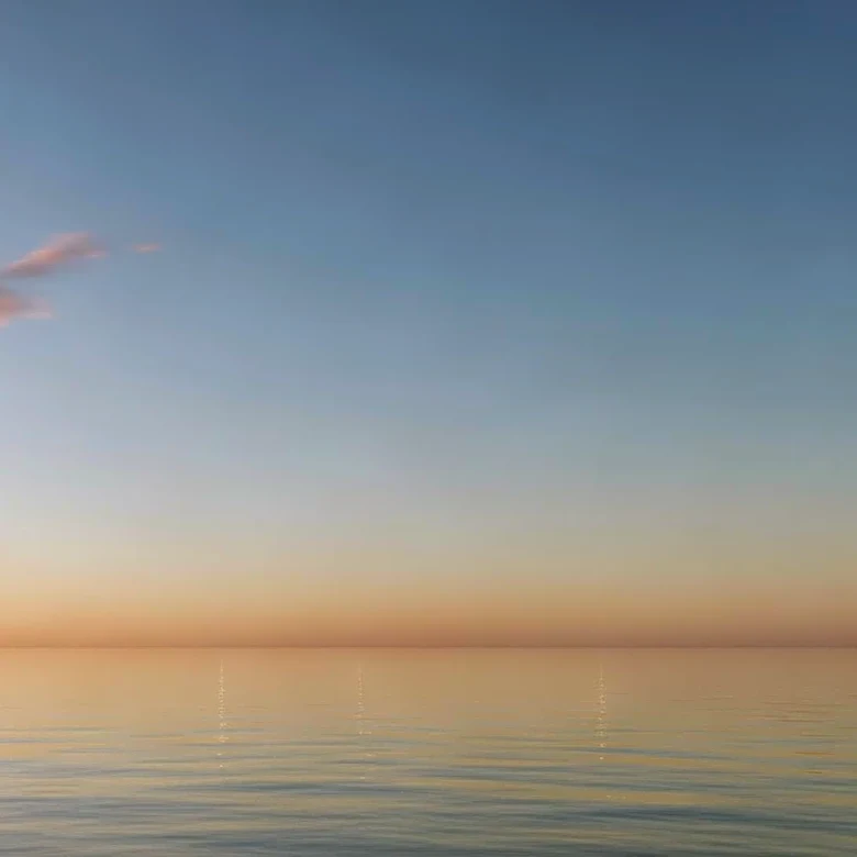 Jacksonville Weather: Clear Skies and Mild Temperatures Expected