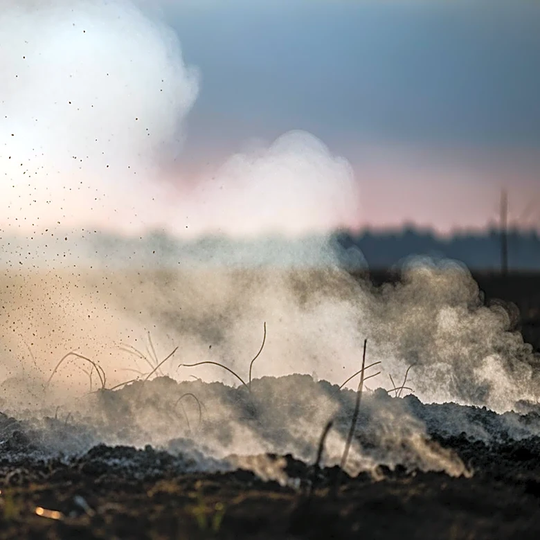 Global Wildfire Emissions: Far-Reaching Ecological and Health Impacts