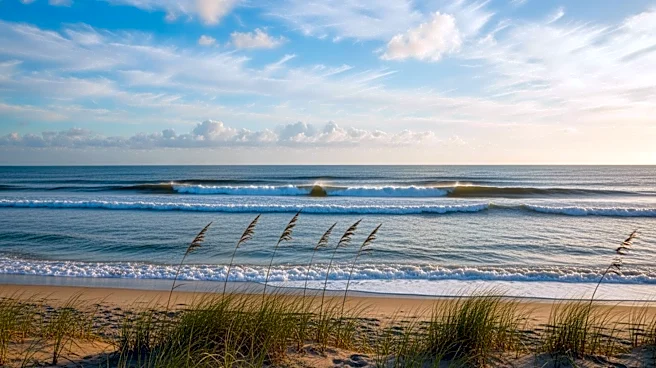 Venice, FL: Partly Cloudy Skies with Mild Winds Expected