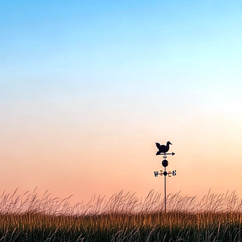 Chattanooga Weather: Clear Skies and Mild Temperatures Expected