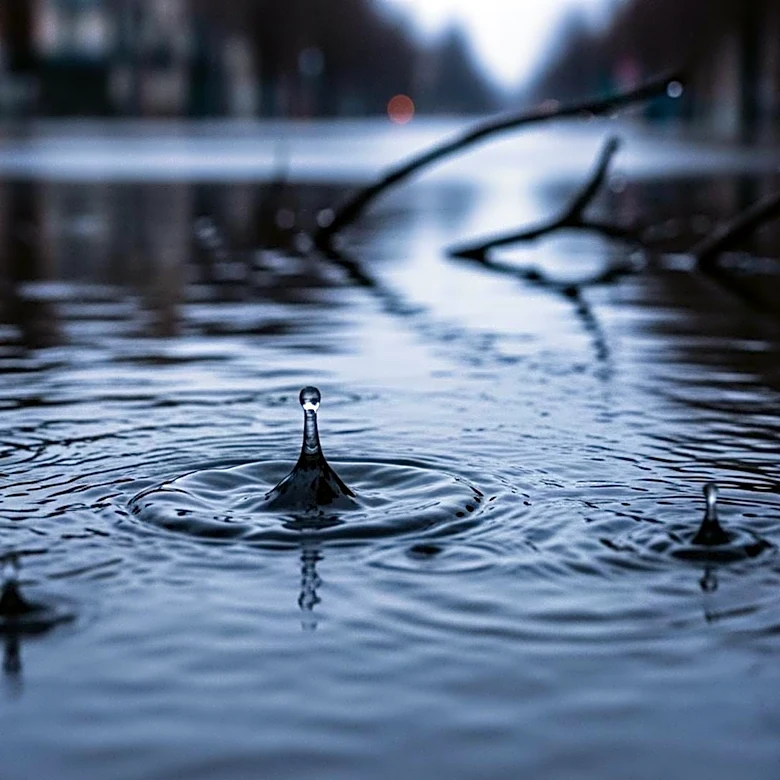 Sydney Faces Heavy Rainfall and Flooding Risks