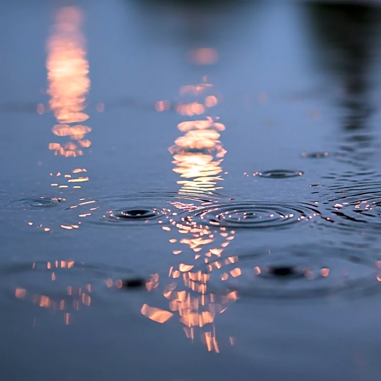 Wet Commute Alert: Heavy Rain Expected in Mobile, AL