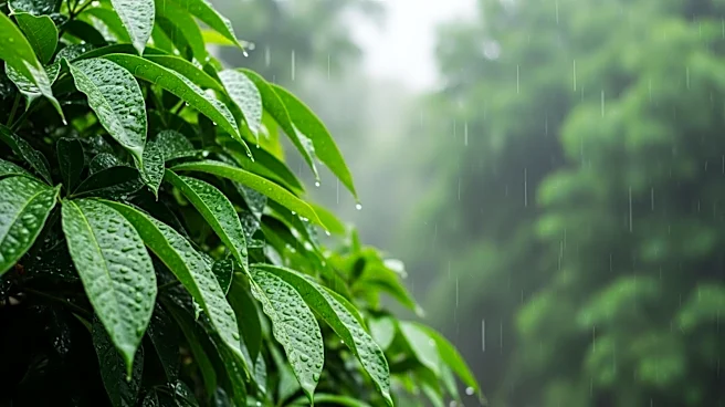 Muggy Conditions and Pop-Up Showers Persist in Hawaii