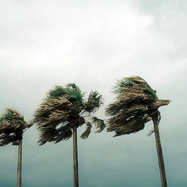 Powerful Typhoon Sinlaku batters Saipan, Guam at risk