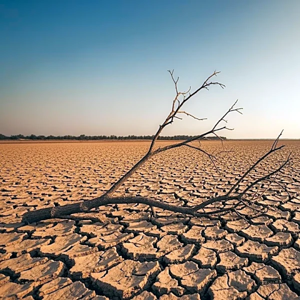 Persistent Drought Conditions in Washington State Enter Fourth Year