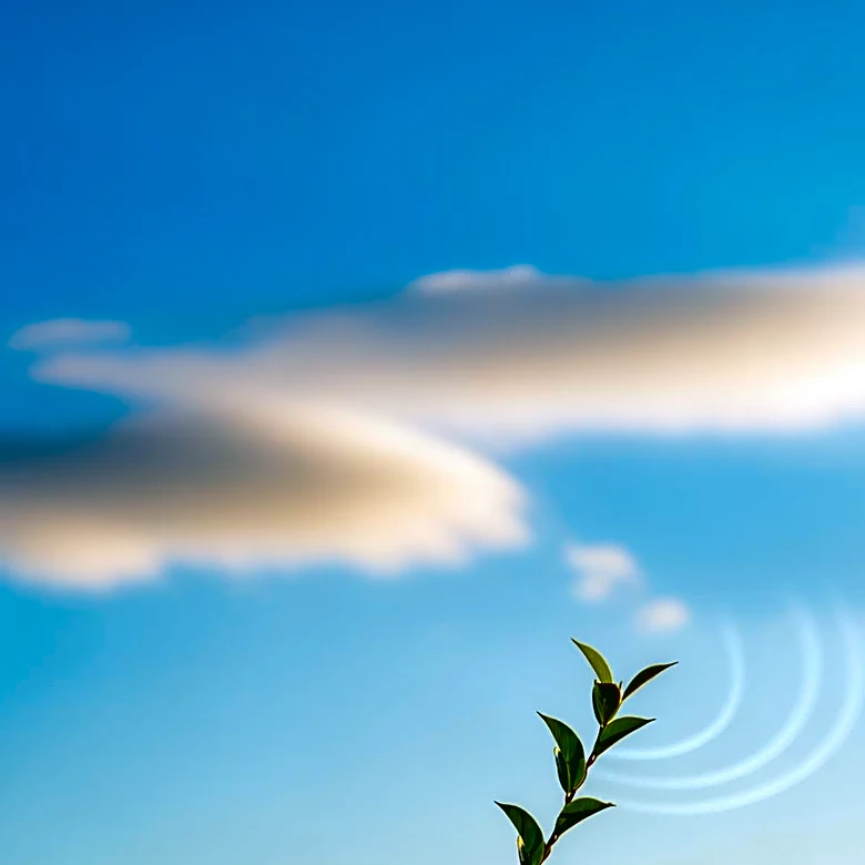 Minneapolis Weather Forecast: Clear Skies and Mild Temperatures