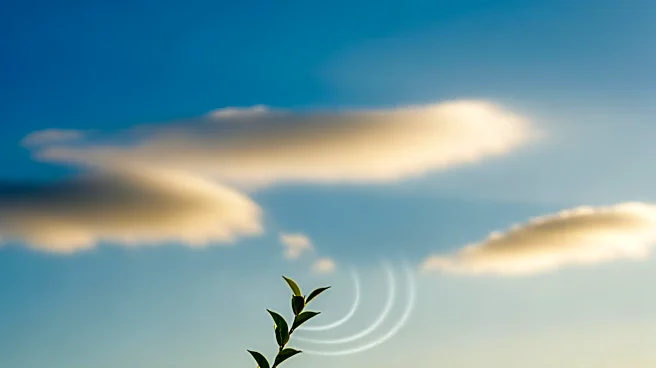 Minneapolis Weather Forecast: Clear Skies and Mild Temperatures