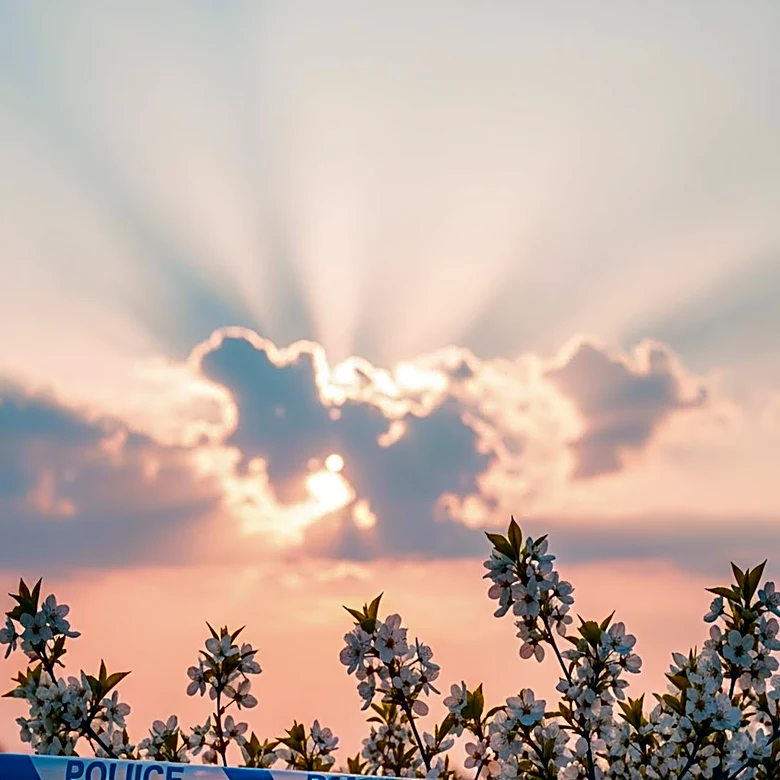 Mother's Day Weather Outlook: Clear Skies and Mild Temperatures