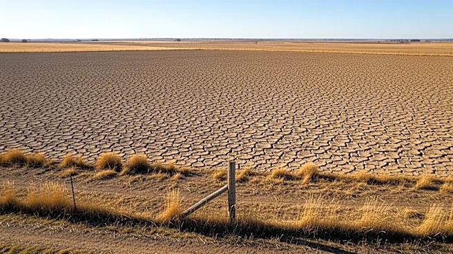 Panhandle Farmers Face Drought Conditions in Northwest Florida