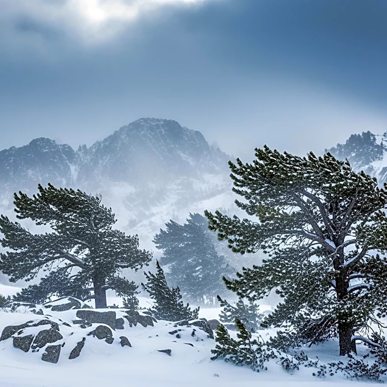 Heavy Snow and Gusty Winds Expected in Oregon Cascades