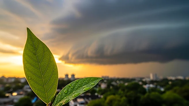 Warm Weather and Severe Storms Expected in Twin Cities