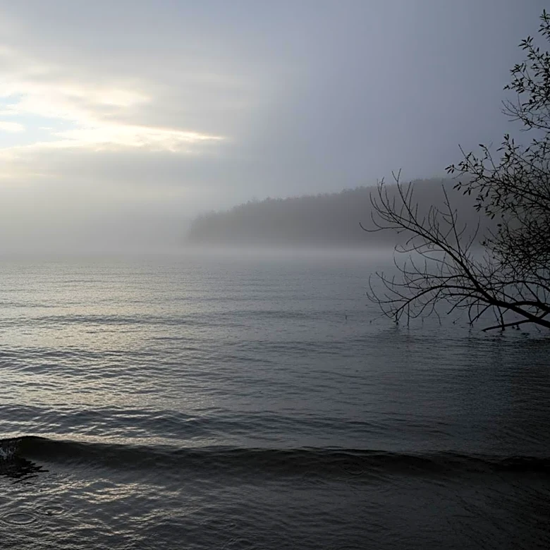 Rain and Fog Expected in Michigan City, IN