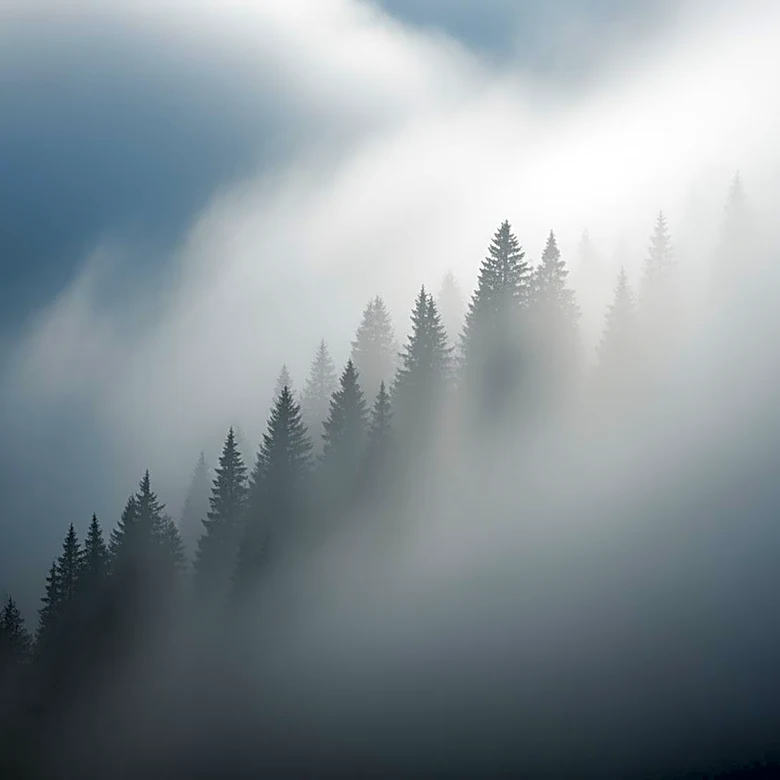 Dense Fog Advisory Issued for Smoky Mountains