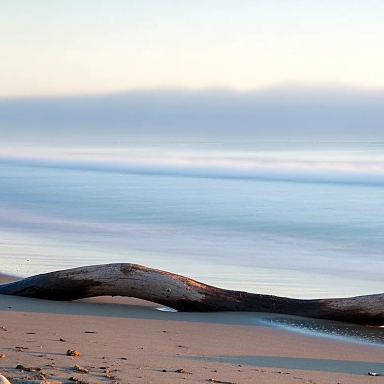Puget Sound Marine Layer Expected to Persist Through Weekend