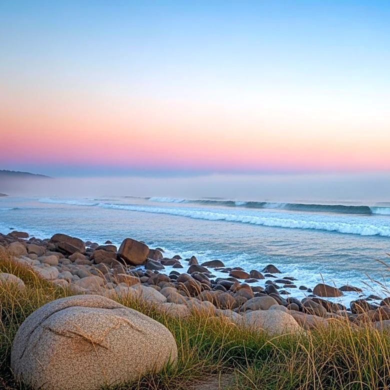 San Francisco Weather Forecast: Mild Conditions Expected for 415 Day Celebrations