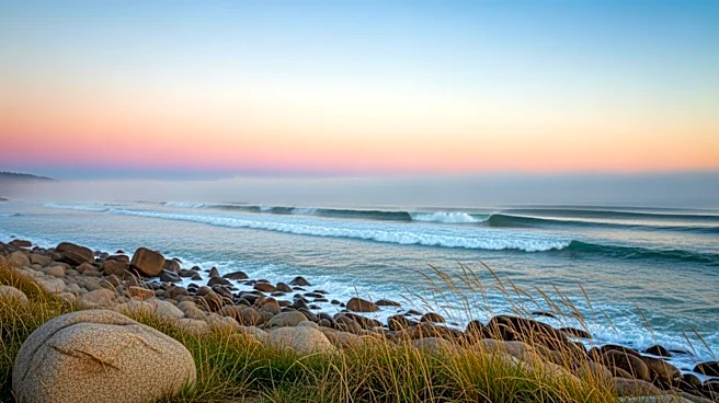 San Francisco Weather Forecast: Mild Conditions Expected for 415 Day Celebrations