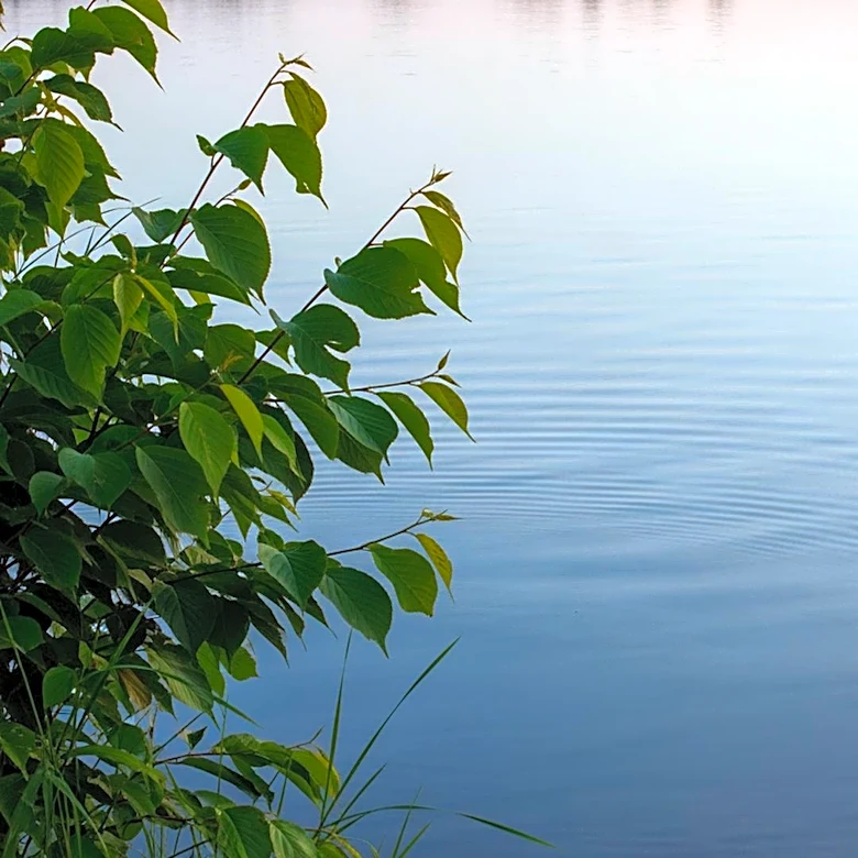 Green Bay Weather: Mild Conditions Expected with Light Winds