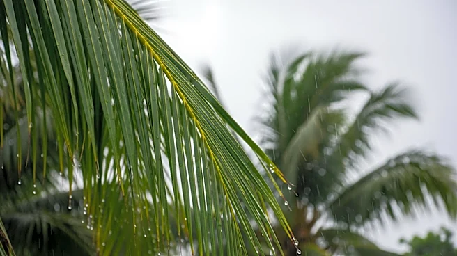 South Florida to Experience Breezy and Rainy Conditions Next Week
