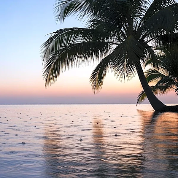 South Florida to Experience Breeze and Rain Next Week