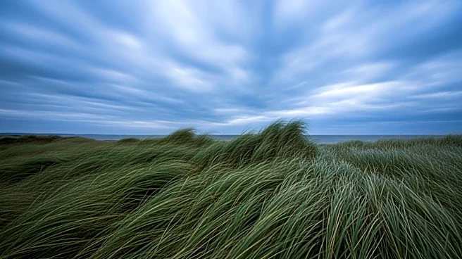 Cloudy Skies and Gusty Winds in Southern California