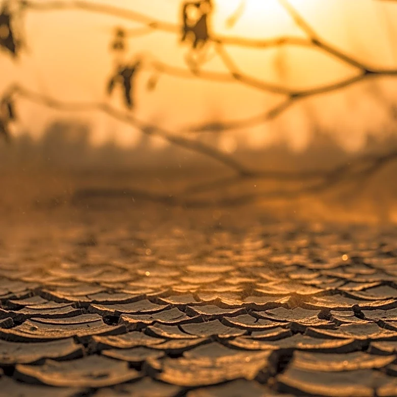 Red Flag Warnings Issued Across Central U.S. Amid Dry Conditions