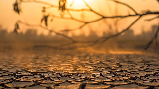 Red Flag Warnings Issued Across Central U.S. Amid Dry Conditions
