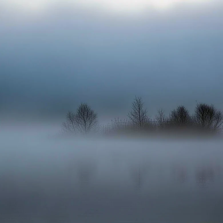 Foggy Night and Overcast Day Expected in Michigan City, IN