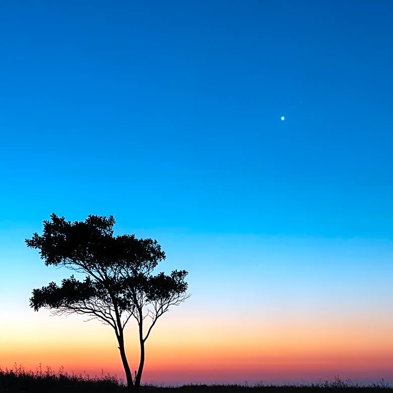 Memphis Weather Update: Clear Skies Expected Through Weekend