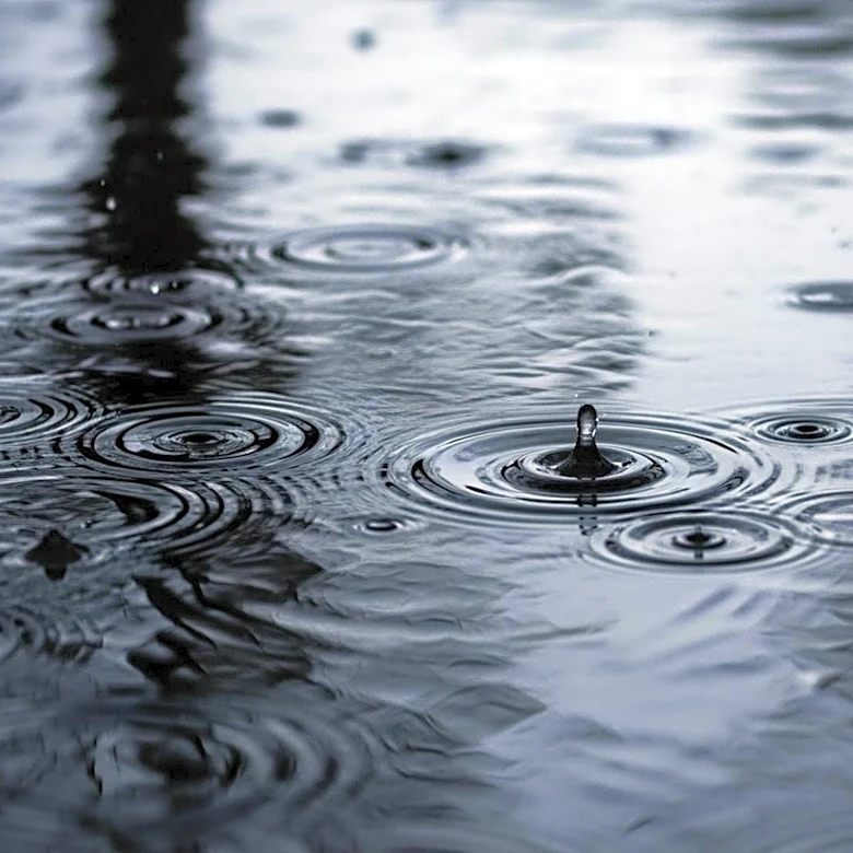 Severe Storms Cause Flooding in Homewood and Flossmoor