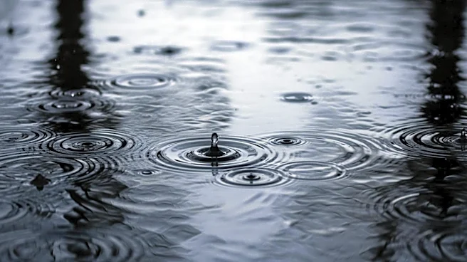 Severe Storms Cause Flooding in Homewood and Flossmoor