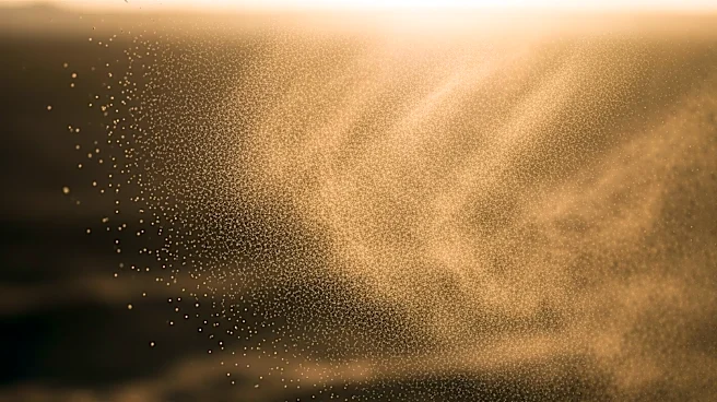 Dust Storms Disrupt Coachella Festival, Raise Health Concerns