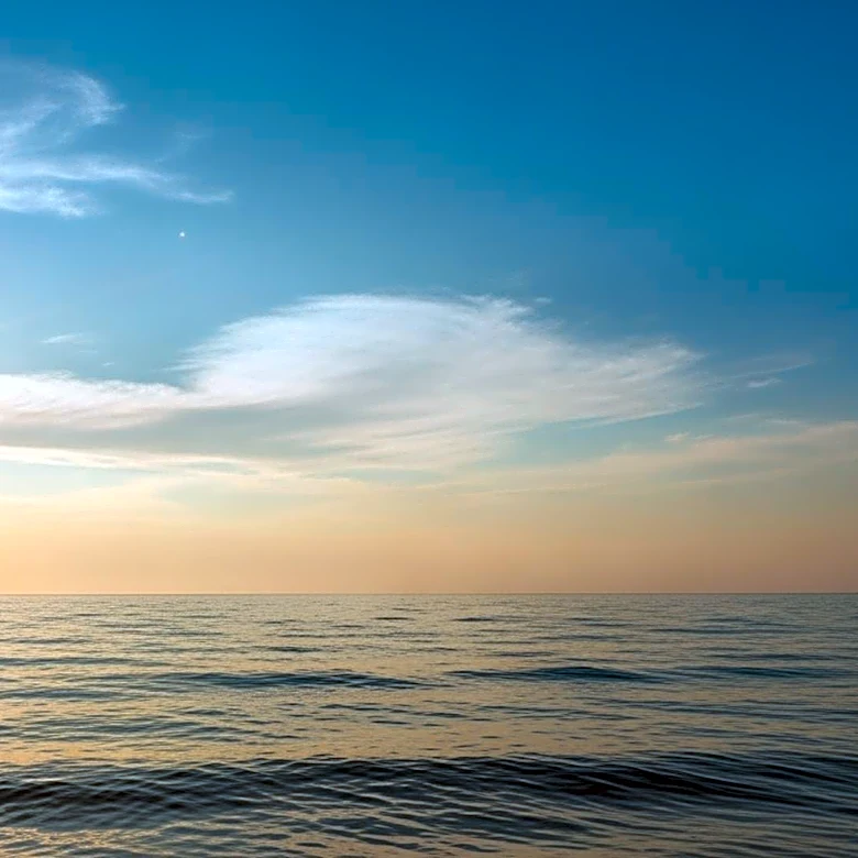 Sunny Skies and Near Record Highs in Tampa, FL