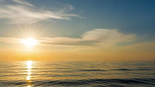 Sunny Skies and Near Record Highs in Tampa, FL