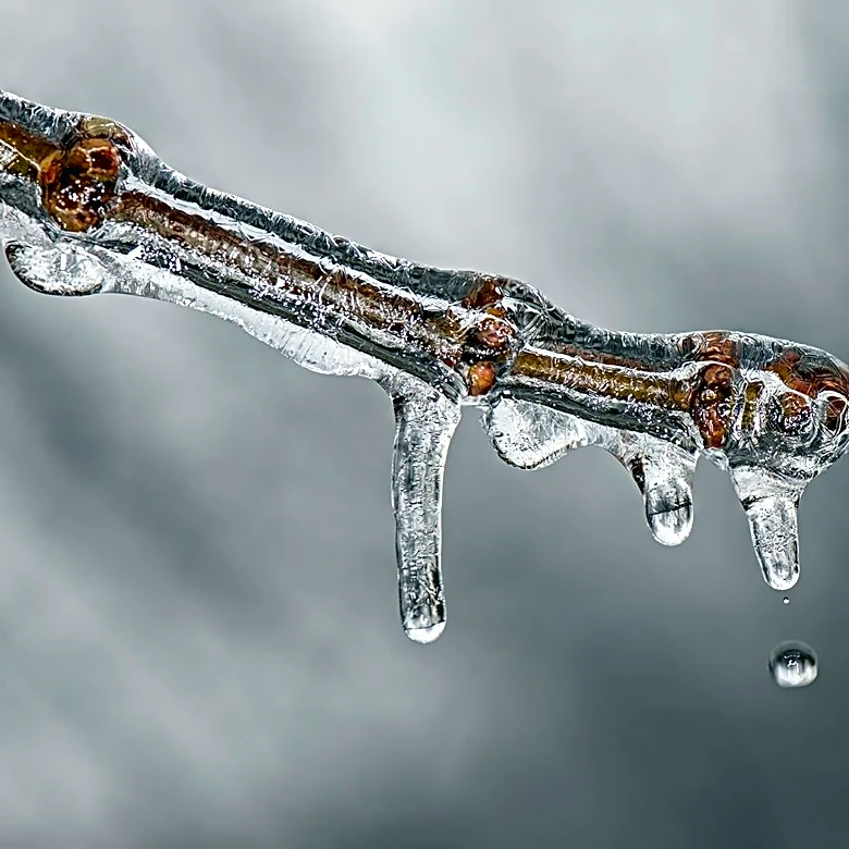 Heat wave flips to freeze risk across eastern U.S.