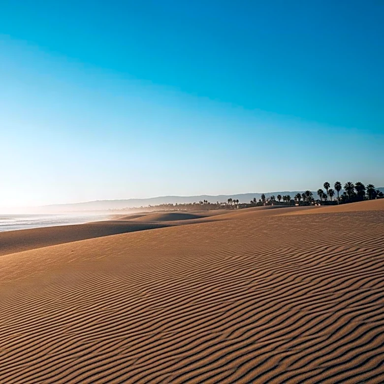 Miami Weather Forecast: Clear Skies Expected for the Weekend